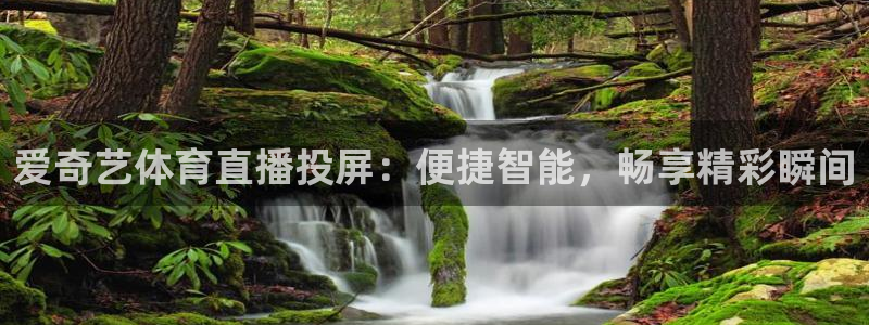 爱奇艺体育直播投屏：便捷智能，畅享精彩瞬间
