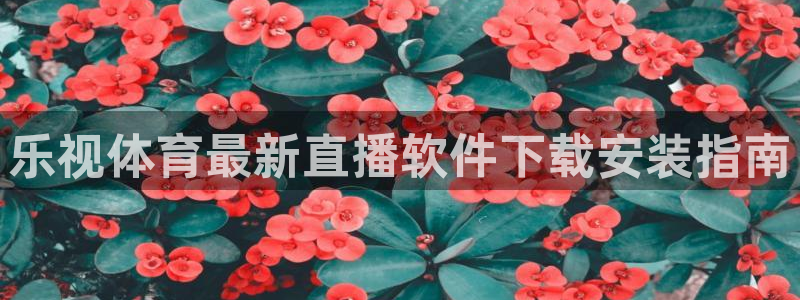 乐视体育最新直播软件下载安装指南