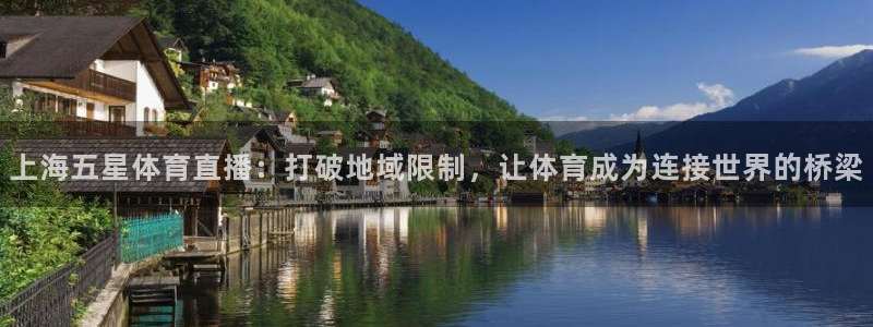 上海五星体育直播：打破地域限制，让体育成为连接世界的桥梁