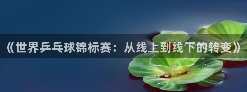 《世界乒乓球锦标赛：从线上到线下的转变》