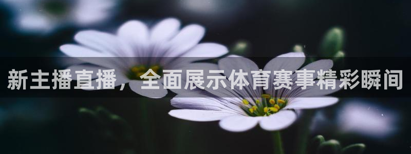 新主播直播，全面展示体育赛事精彩瞬间