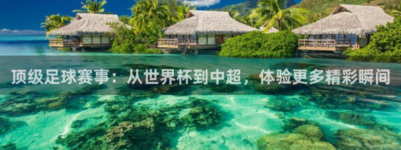 顶级足球赛事：从世界杯到中超，体验更多精彩瞬间