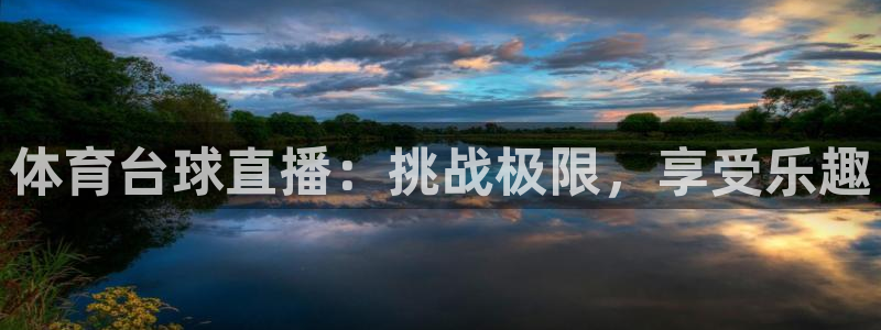 体育台球直播：挑战极限，享受乐趣