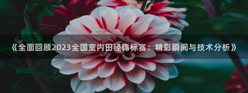 《全面回顾2023全国室内田径锦标赛：精彩瞬间与技术分析》