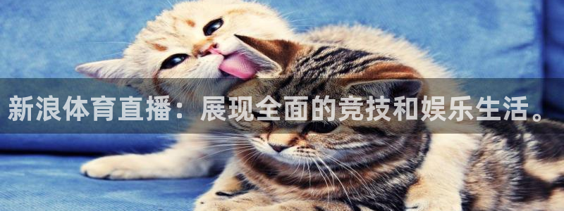 新浪体育直播：展现全面的竞技和娱乐生活。