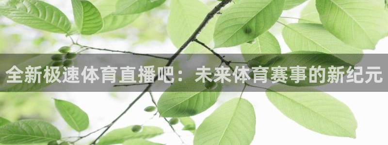全新极速体育直播吧：未来体育赛事的新纪元