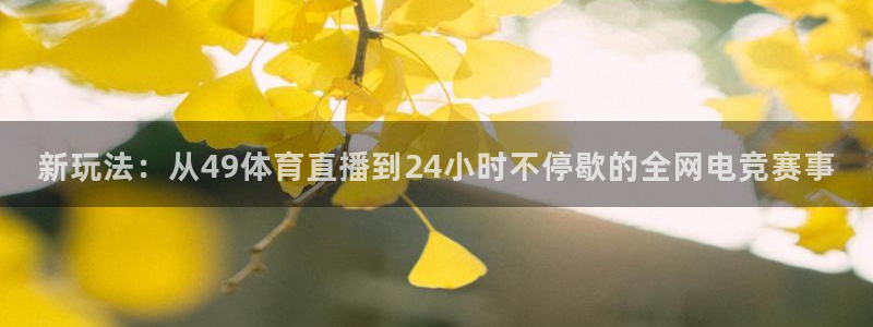 新玩法：从49体育直播到24小时不停歇的全网电竞赛事