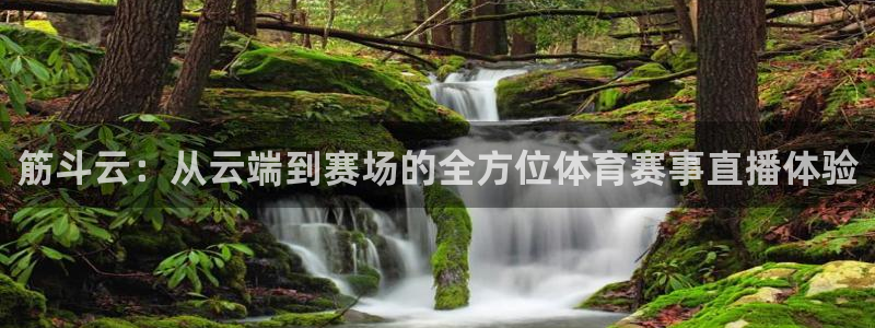 筋斗云：从云端到赛场的全方位体育赛事直播体验